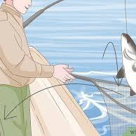 Reeling in a fish