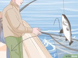 Reeling in a fish