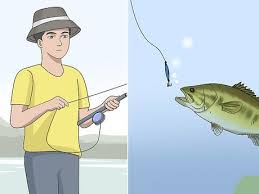 Setting the Hook