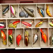 Choosing bait