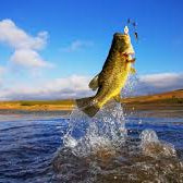 Bass lure tips